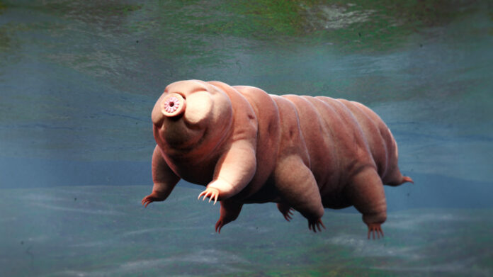 Imagem: iStock/dottedhippo