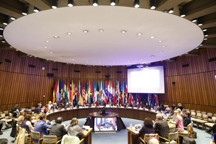 Reunión del Comité Directivo Regional CR10.jpeg