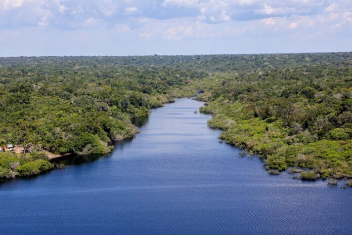 Amazonia 2 Fabio Rodrigues Pozzebom Agencia Brasil.jpg