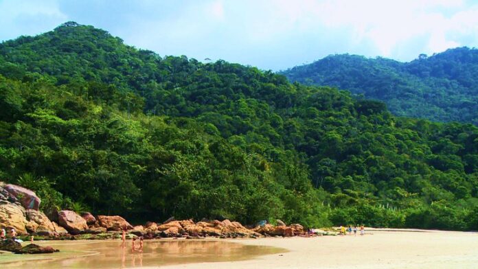 parque_nacional_da_bocaina_04.jpg